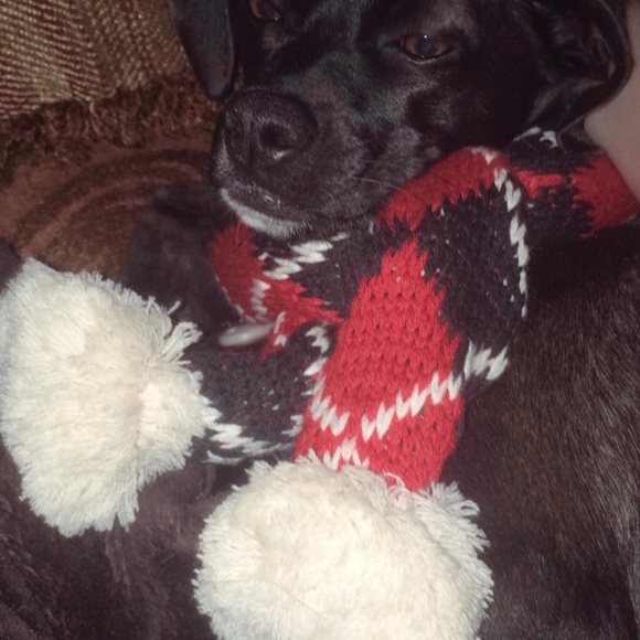 Meet your Posher, Caroline - Picture 6 of 6